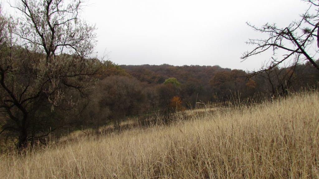 Григорівка з panoramio.com - Григорівка