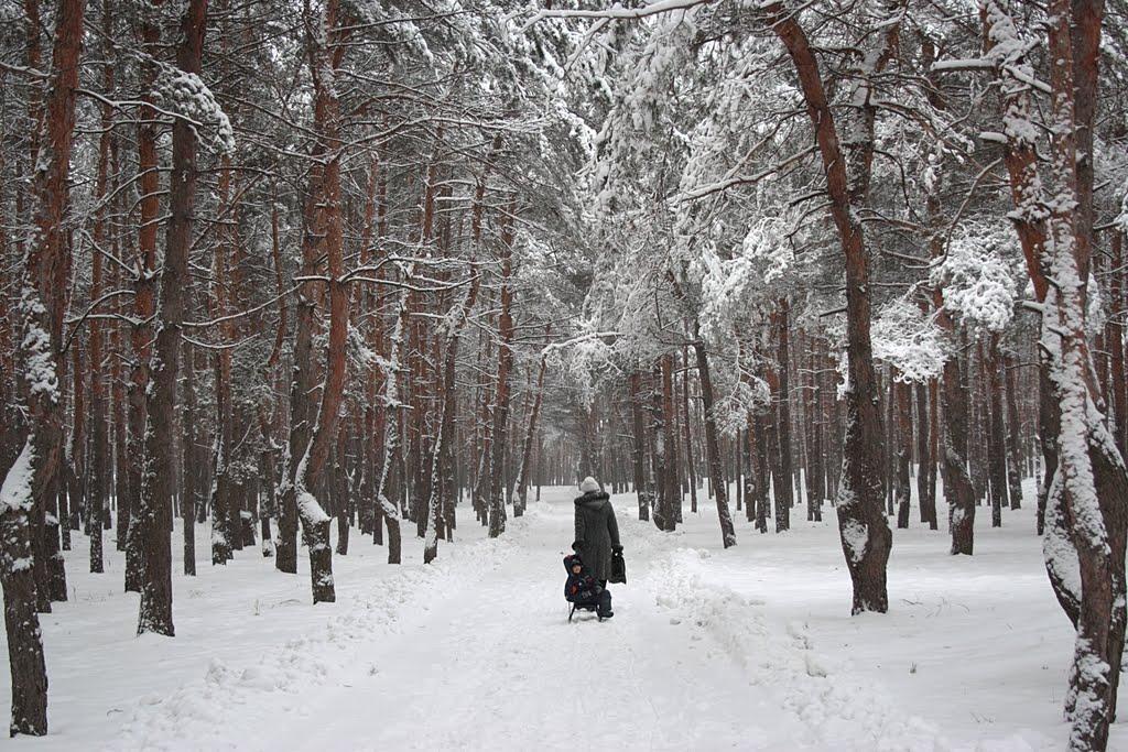 Рубіжне з panoramio.com - Рубіжне