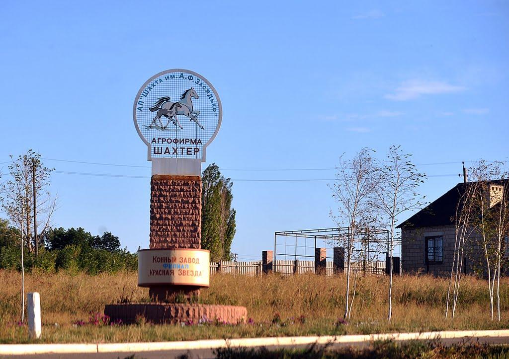 Білокузьминівка з panoramio.com - Білокузьминівка
