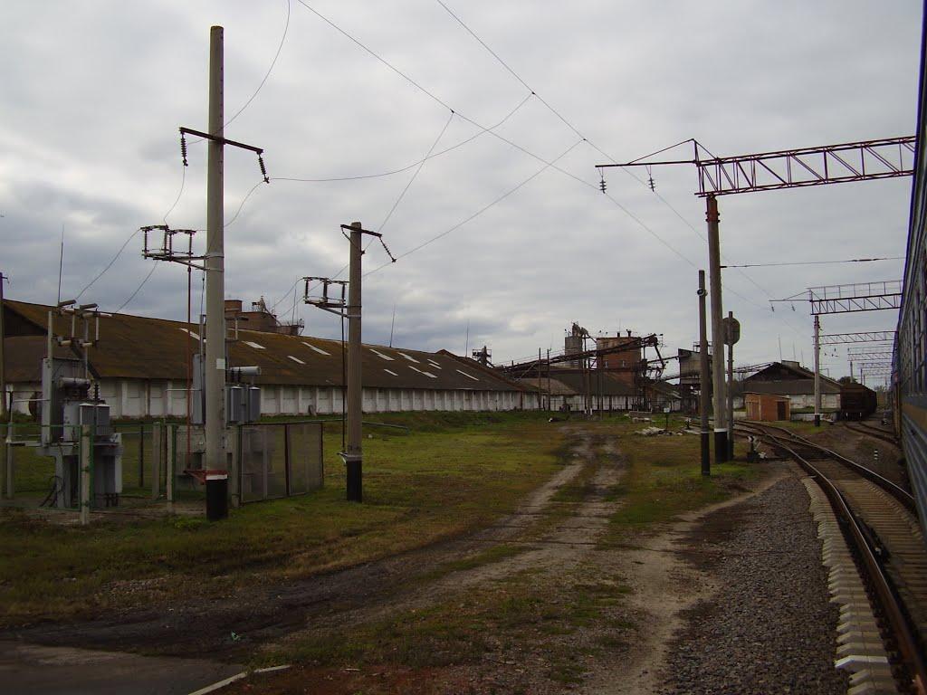 Ков'яги з panoramio.com - Ков'яги