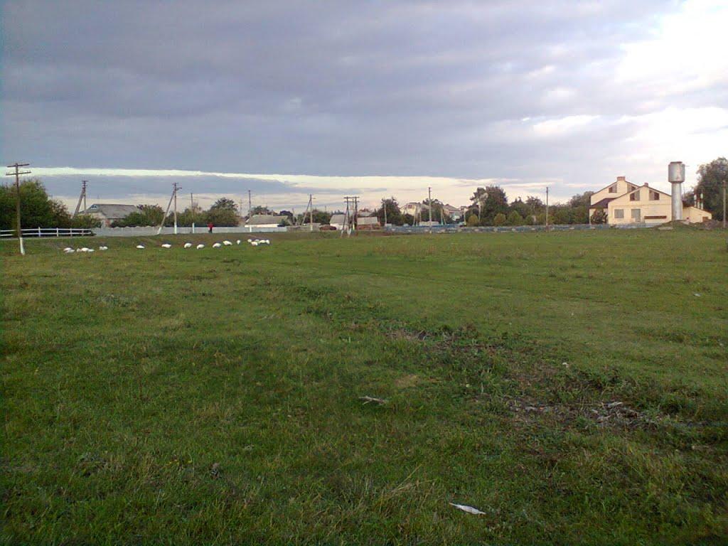 Козлівщина з panoramio.com - Козлівщина