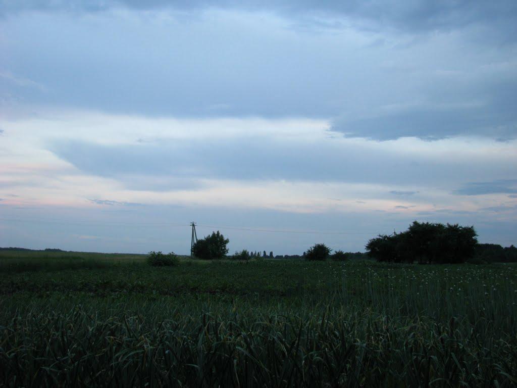 Ладижинські Хутори з panoramio.com - Ладижинські Хутори