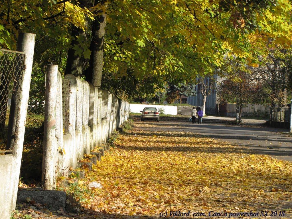 Великий Березний з panoramio.com - Великий Березний