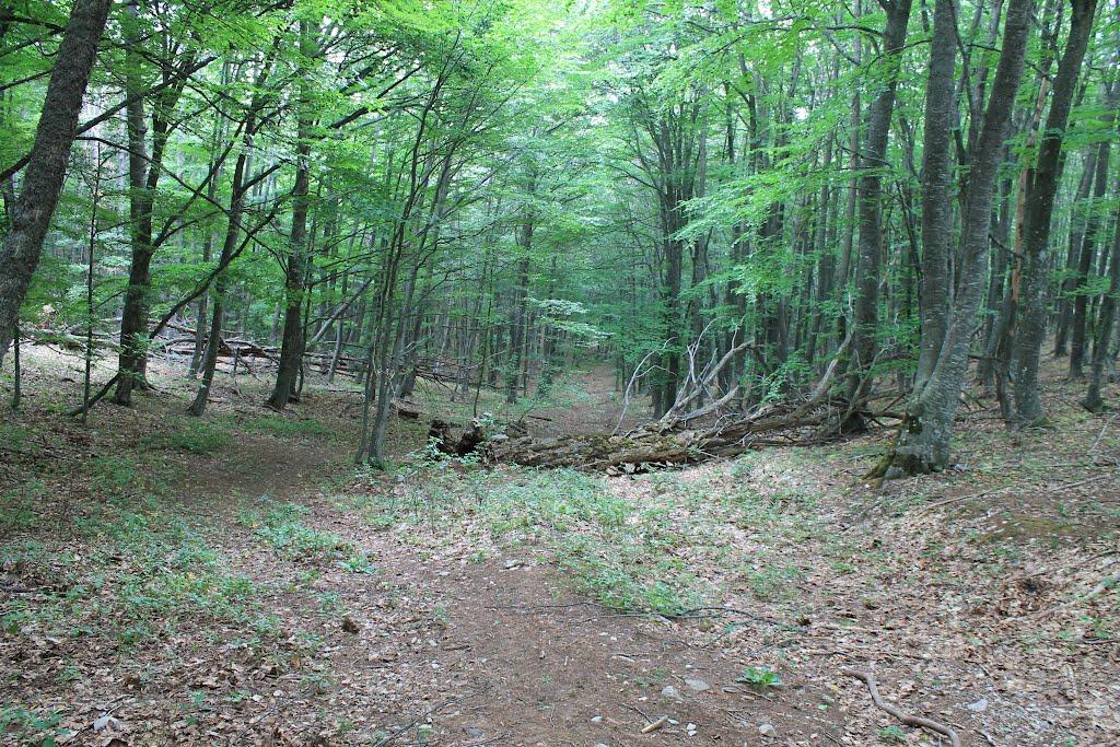 Запрудне з panoramio.com - Запрудне