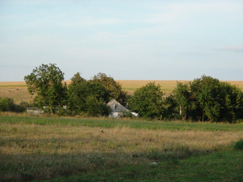 Люлинці з panoramio.com - Люлинцы
