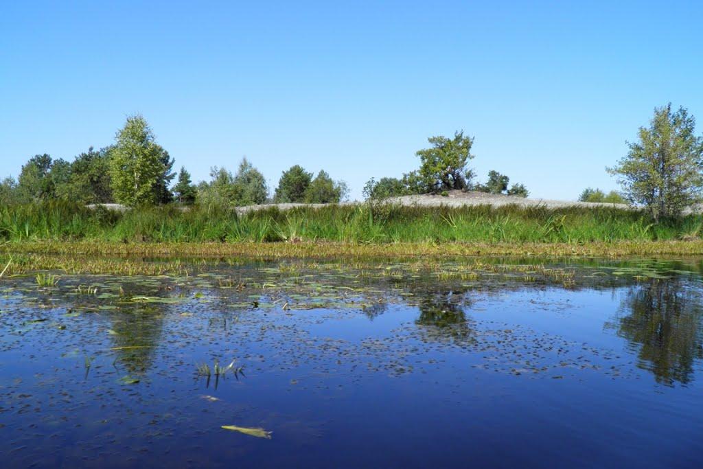 Млин з panoramio.com - Млын