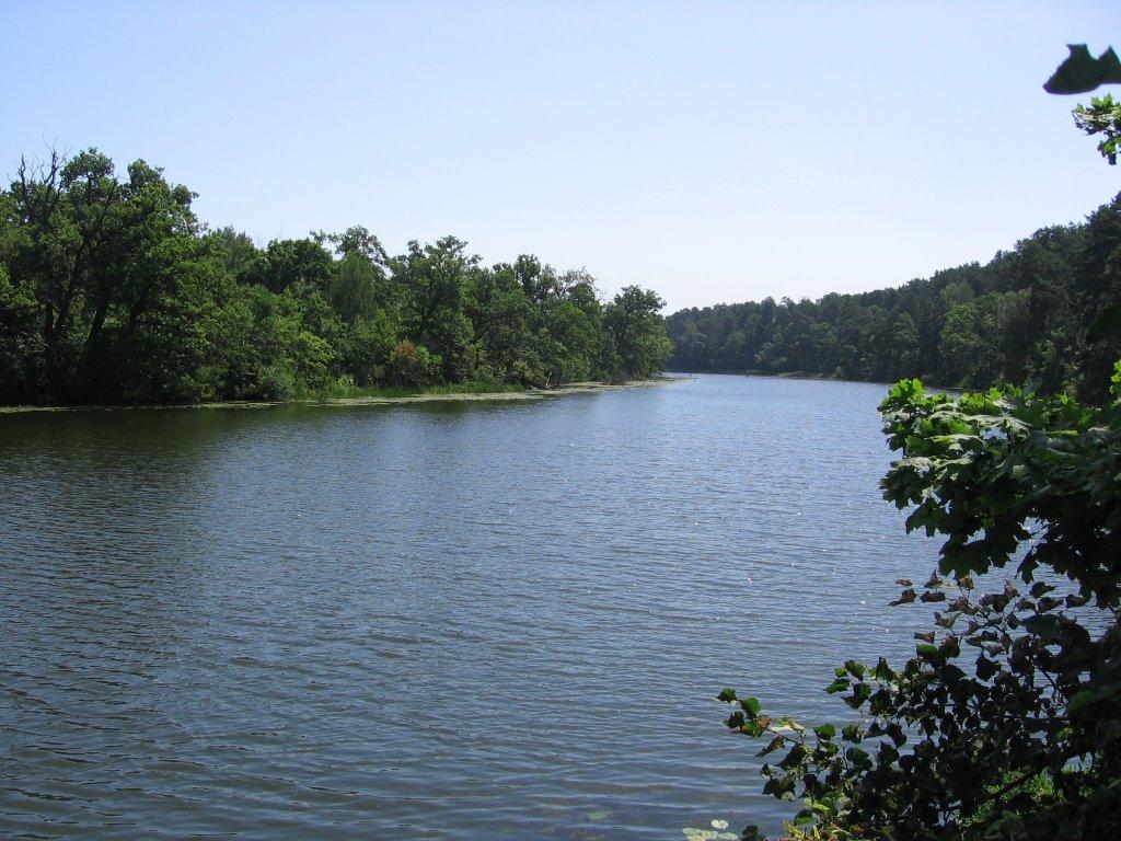 Романків з panoramio.com - Романків