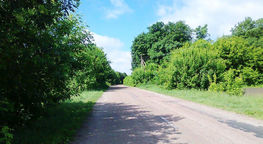 Терехове з panoramio.com - Терехове