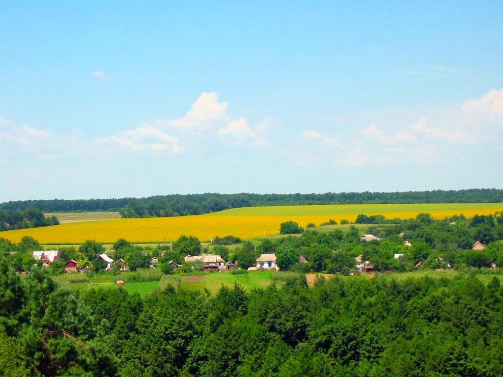 Осіївка з panoramio.com - Осіївка