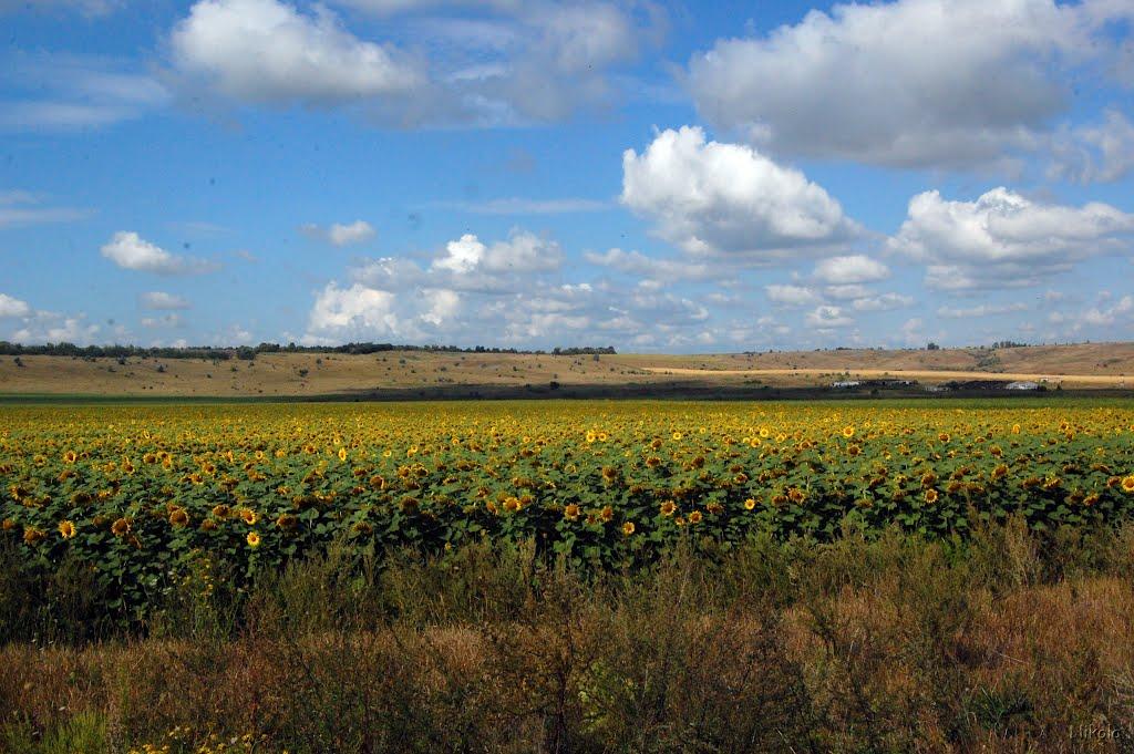 Серебрянка з panoramio.com - Серебрянка
