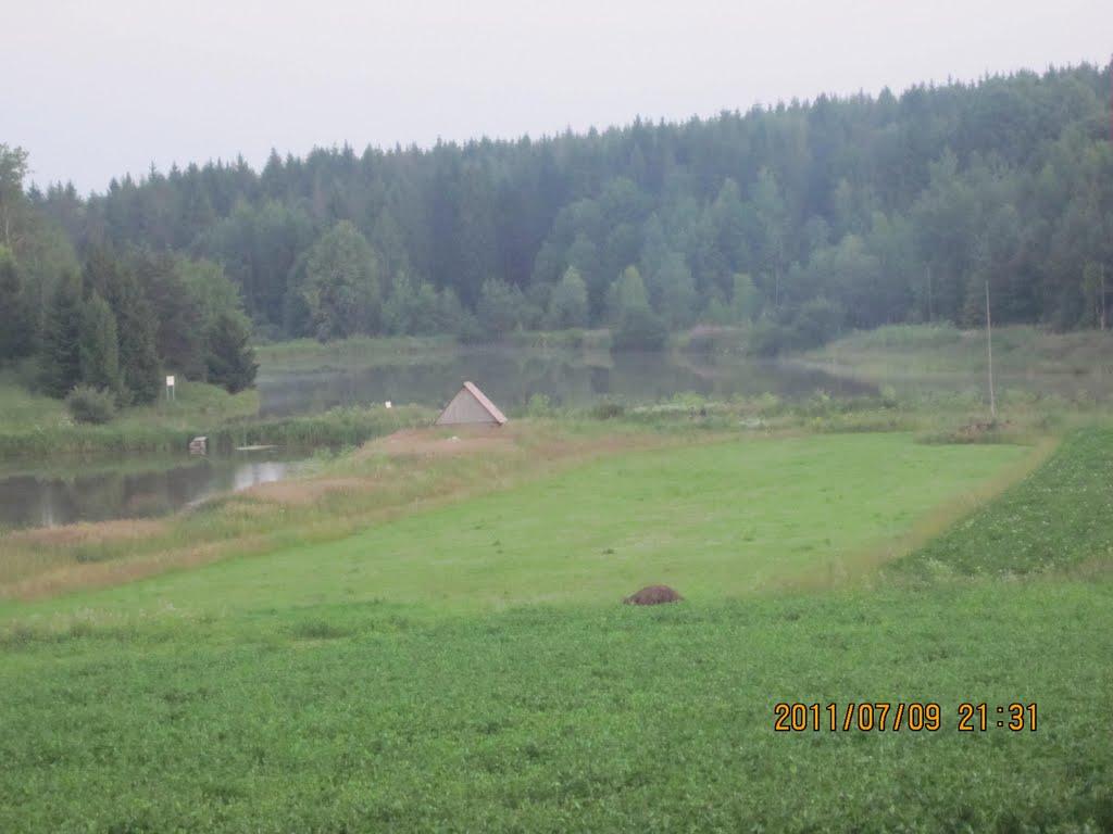 Давидівка з panoramio.com - Давидівка