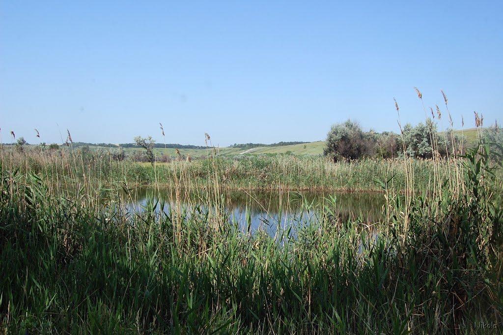 Нова Астрахань з panoramio.com - Нова Астрахань