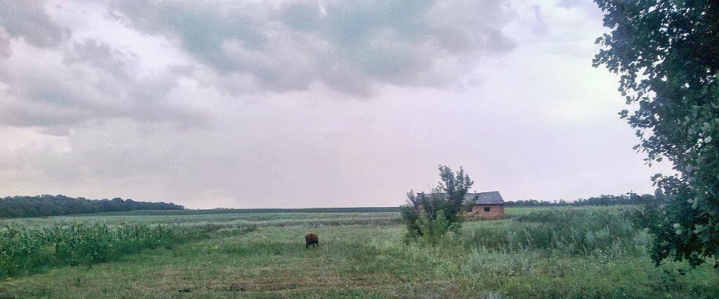 Каленики з panoramio.com - Каленики