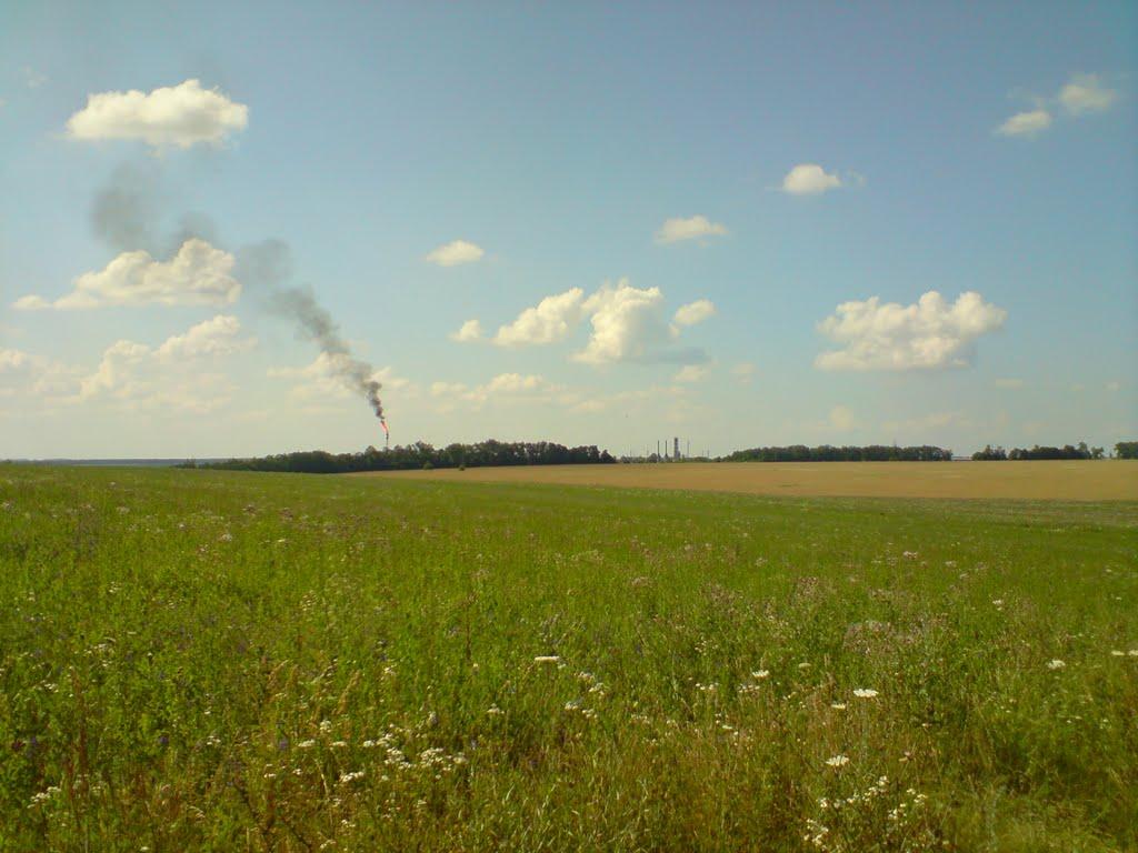 Опішня з panoramio.com - Opishnya