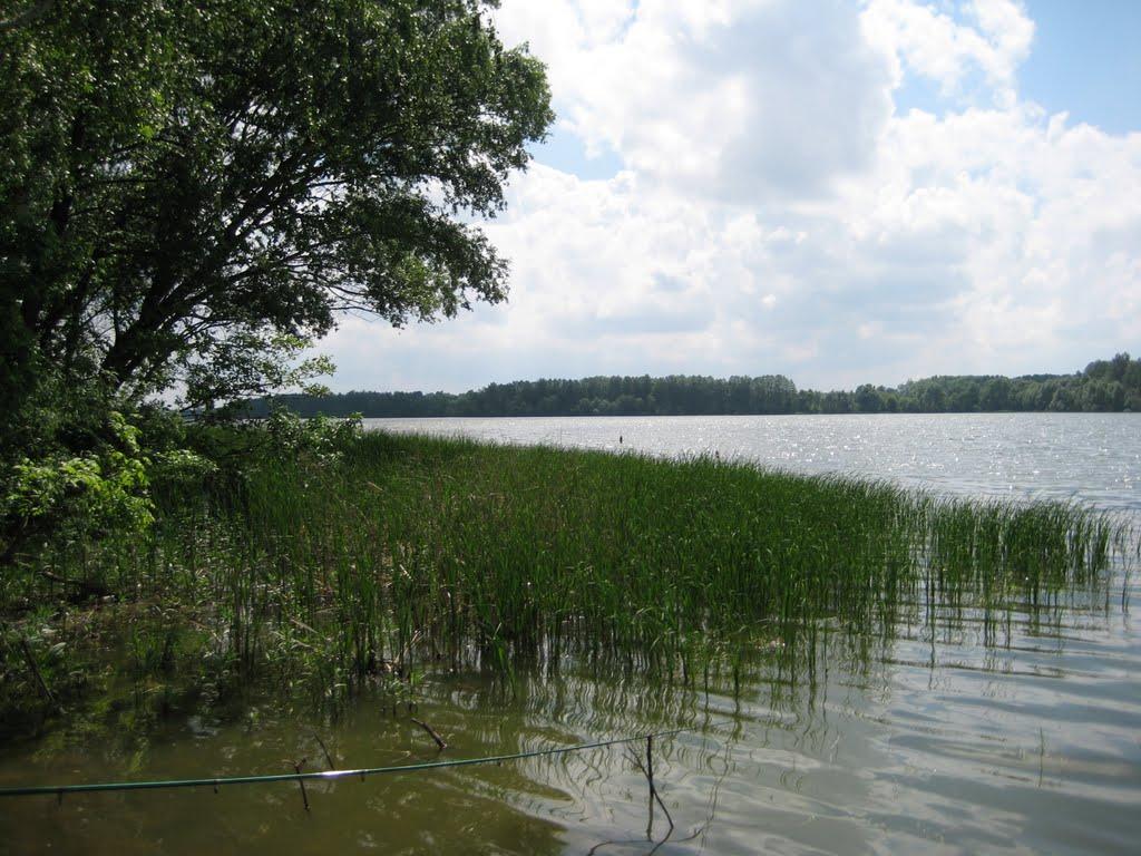 Капітанівка з panoramio.com - Капітанівка
