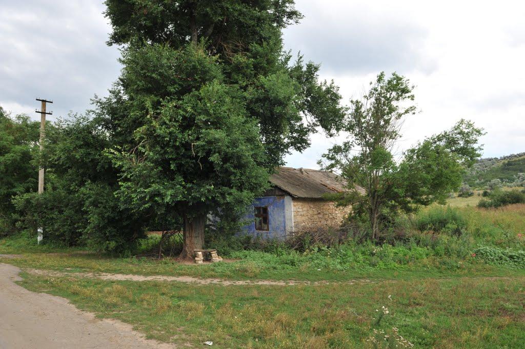 Бецилове з panoramio.com - Бецилово