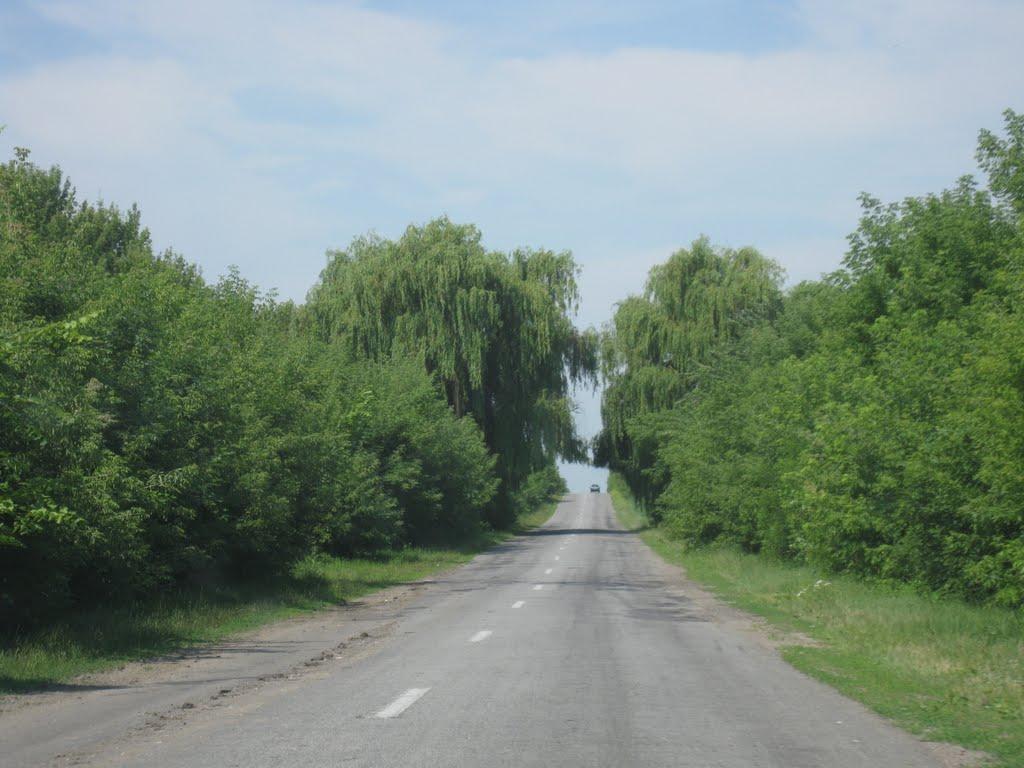 Дубинки з panoramio.com - Дубинки