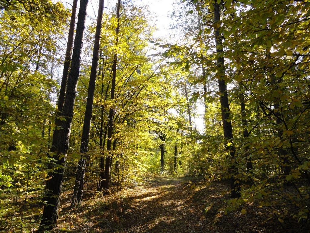 Хрипськ з panoramio.com - Хрипск