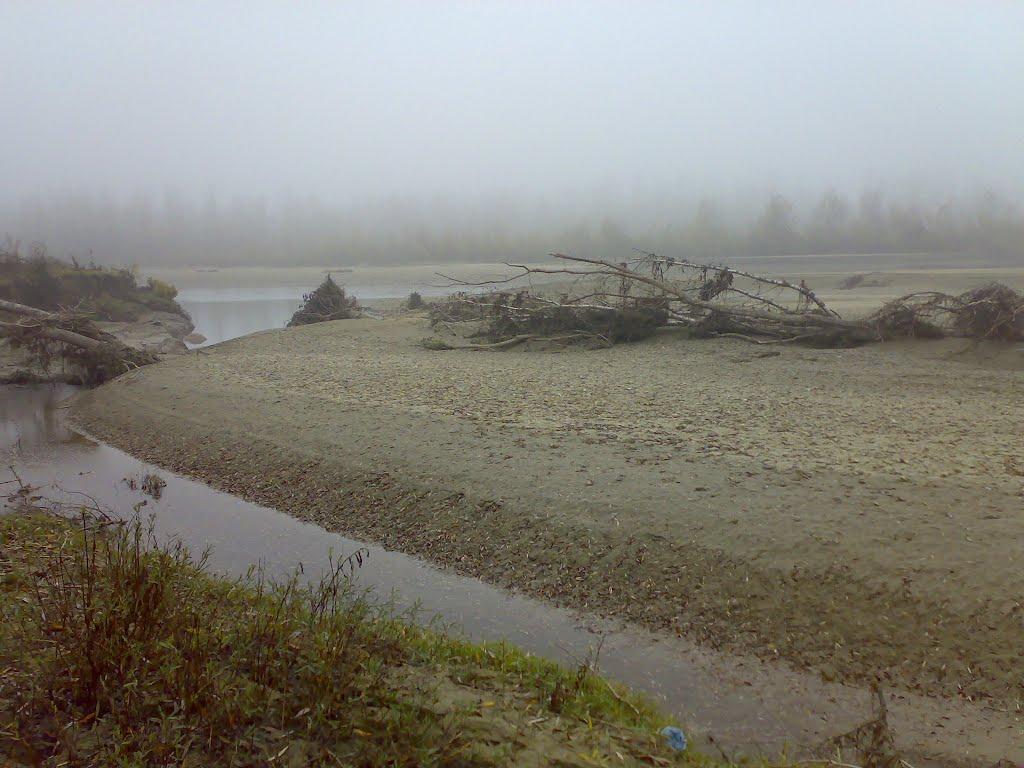 Неполоківці з panoramio.com - Неполоківці