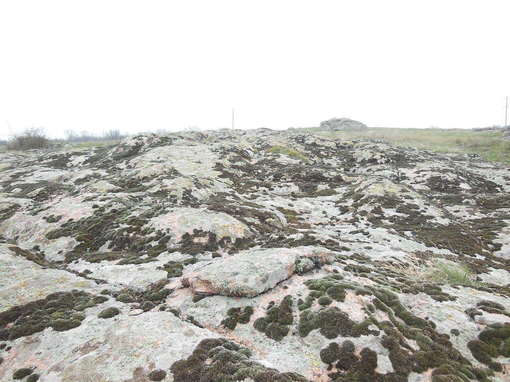 Кузнецово-Михайлівка з panoramio.com - Кузнецово-Михайлівка