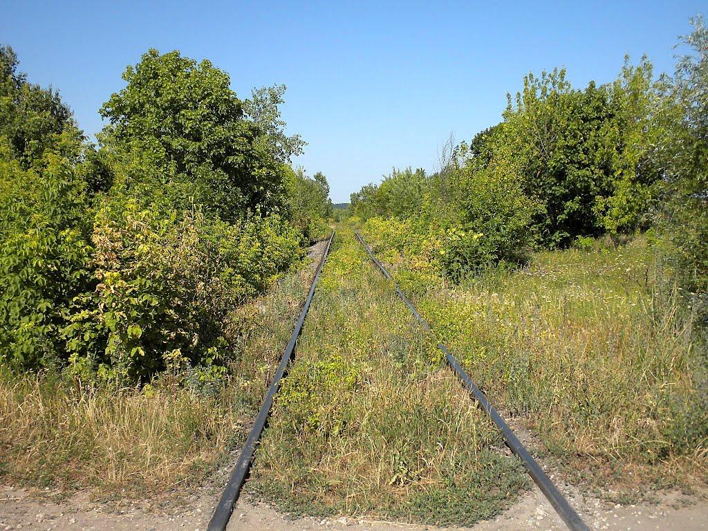 Висока Гребля з panoramio.com - Висока Гребля