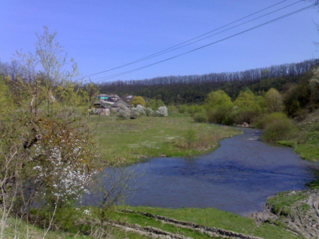 Лісківці з panoramio.com - Liskivtsi