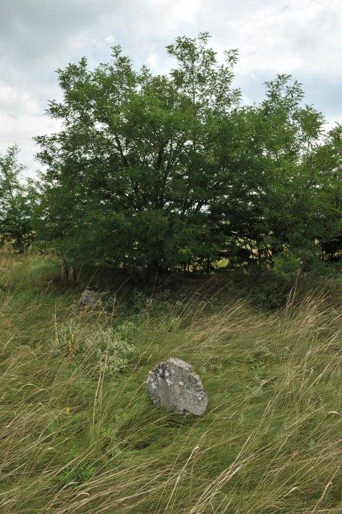 Бецилове з panoramio.com - Betsylove