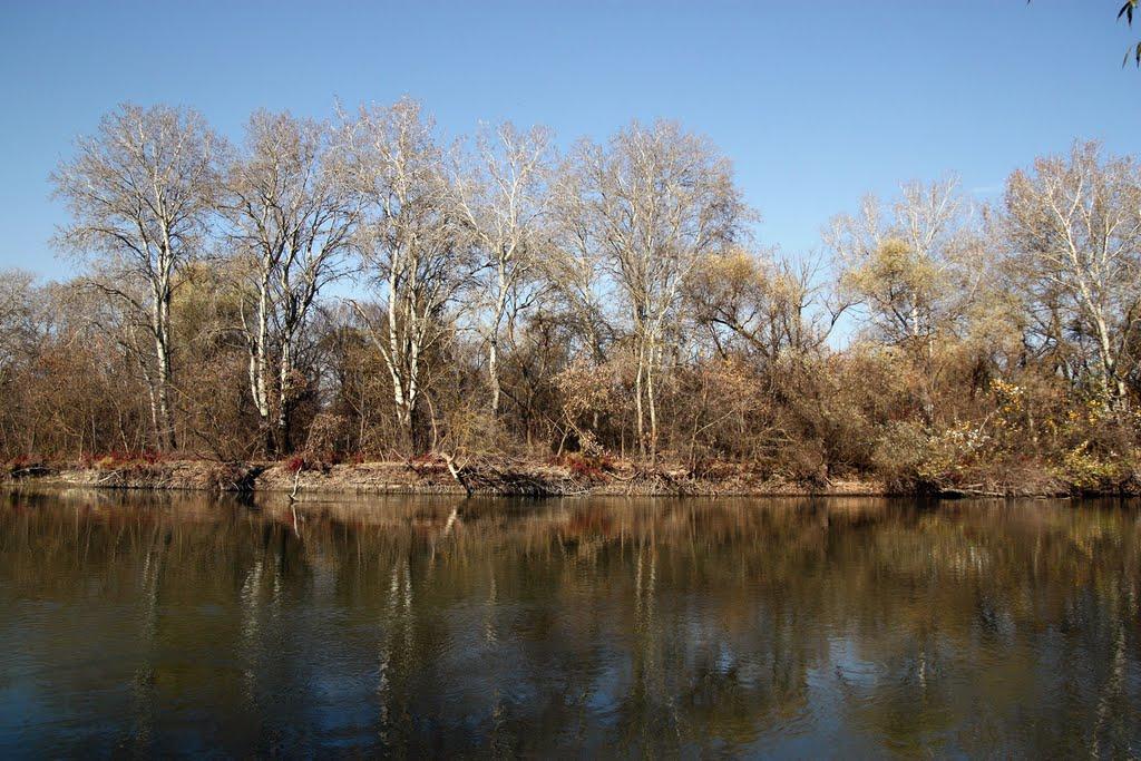 Троїцьке з panoramio.com - Troitske