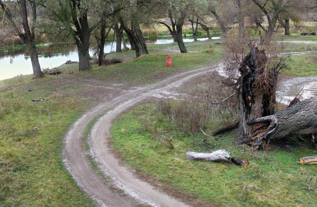 Огірцеве з panoramio.com - Огірцеве
