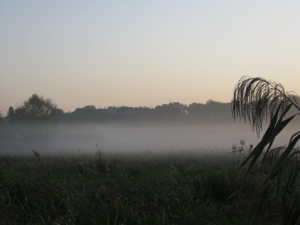 Чепелі з panoramio.com - Чепелі