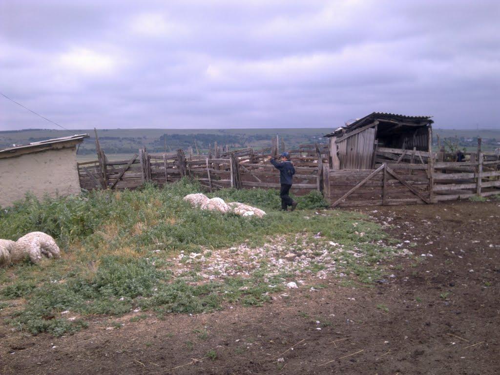 Юр'ївка з panoramio.com - Юр'ївка