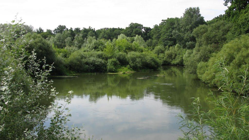 Шубків з panoramio.com - Шубків