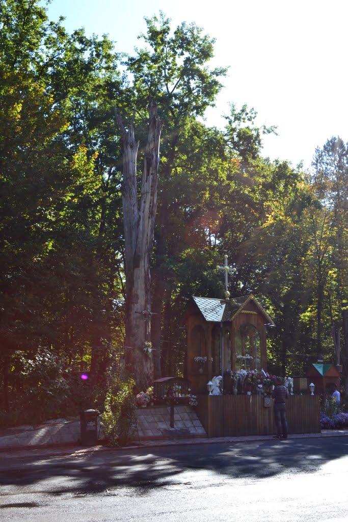 Немирів з panoramio.com - Немирів