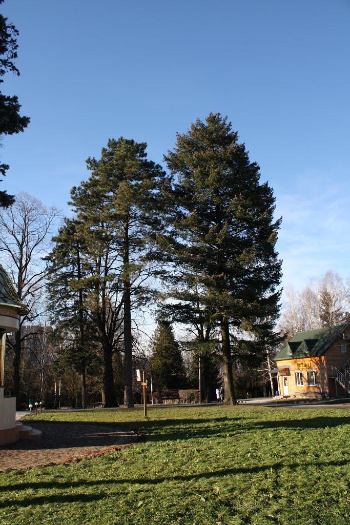 Модричі з panoramio.com - Модричі