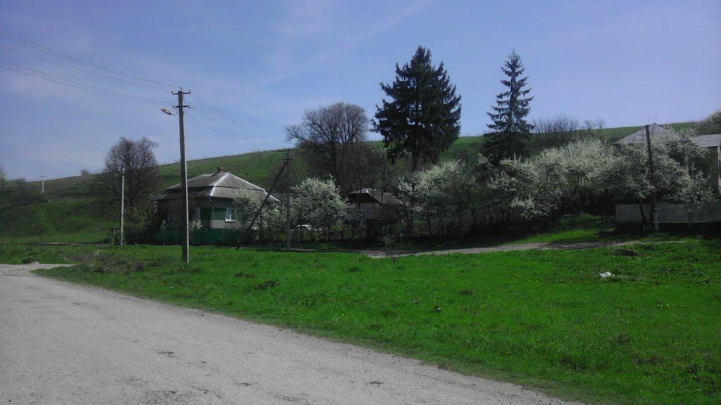 Світанок з panoramio.com - Світанок