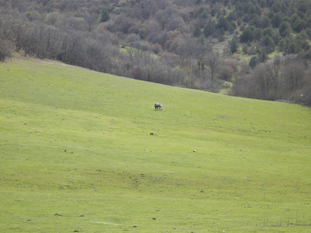 Колхозне з panoramio.com - Колхозное