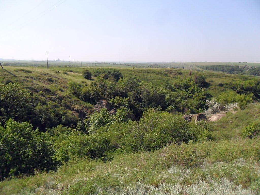 Плещіївка з panoramio.com - Плещіївка