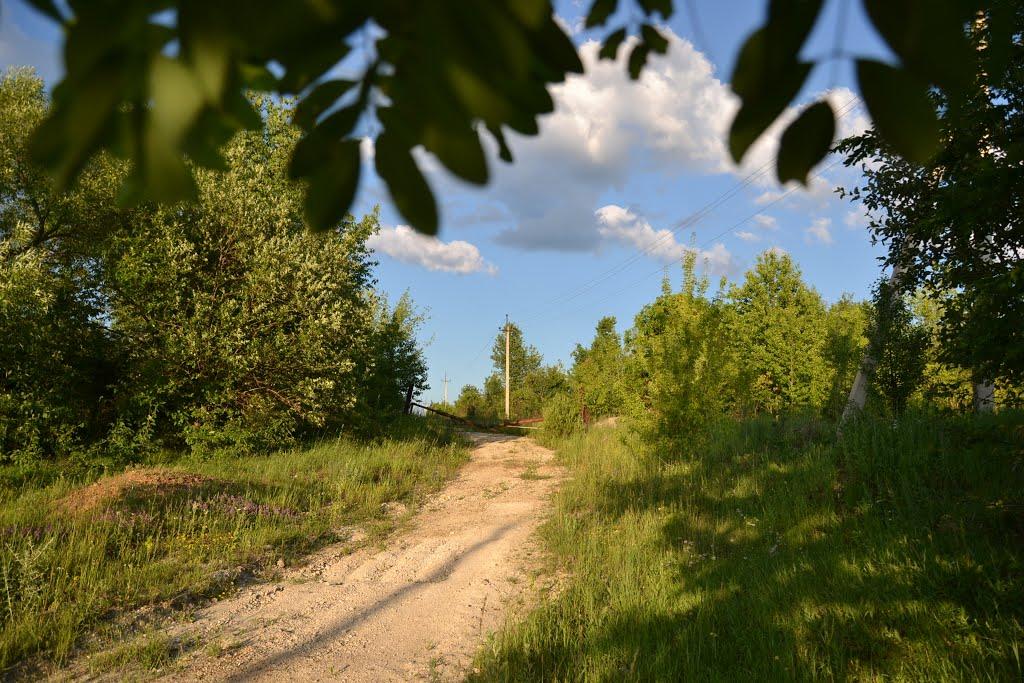 Грабарівка з panoramio.com - Грабарівка