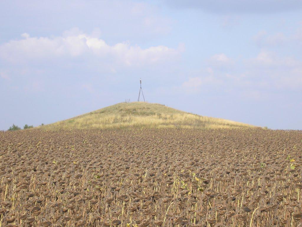 Інгульське з panoramio.com - Інгульське