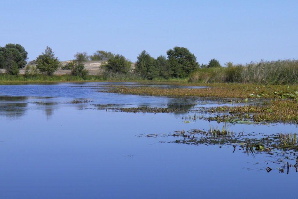 Млин з panoramio.com - Млын