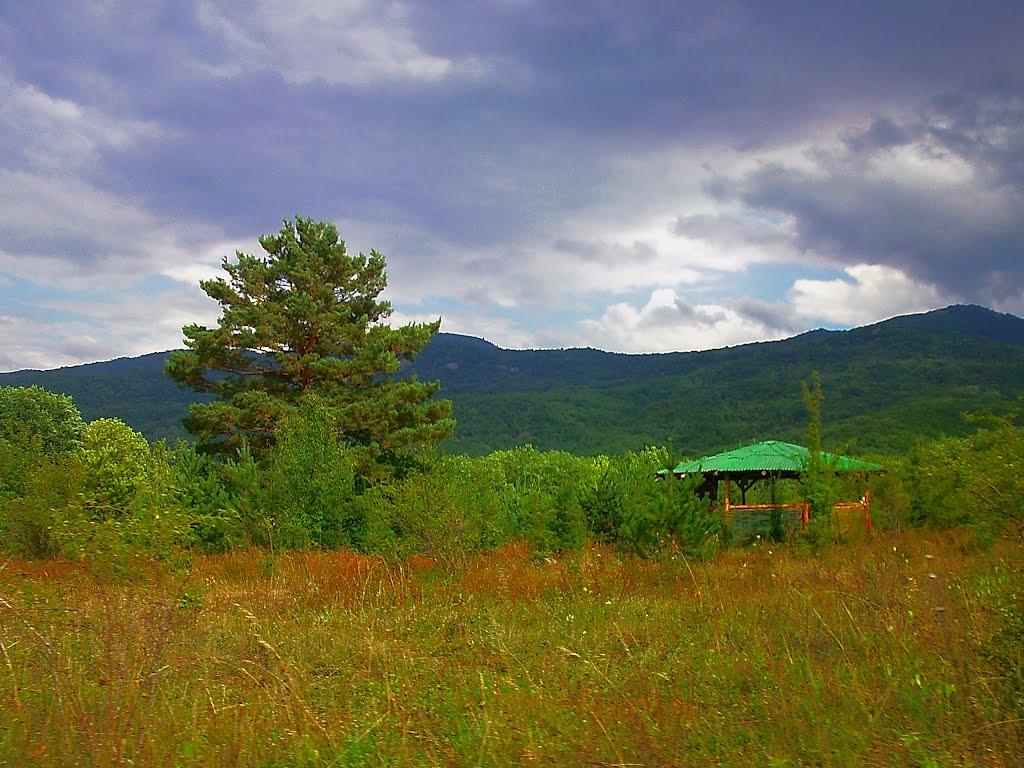 Щасливе з panoramio.com - Счастливое