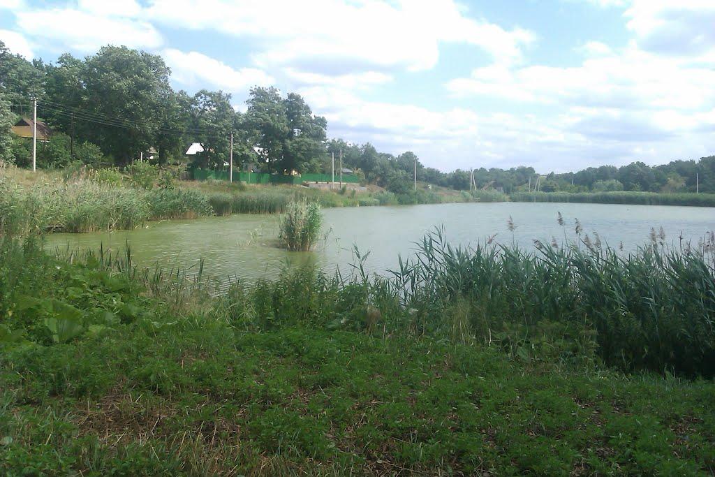 Виграїв з panoramio.com - Виграїв