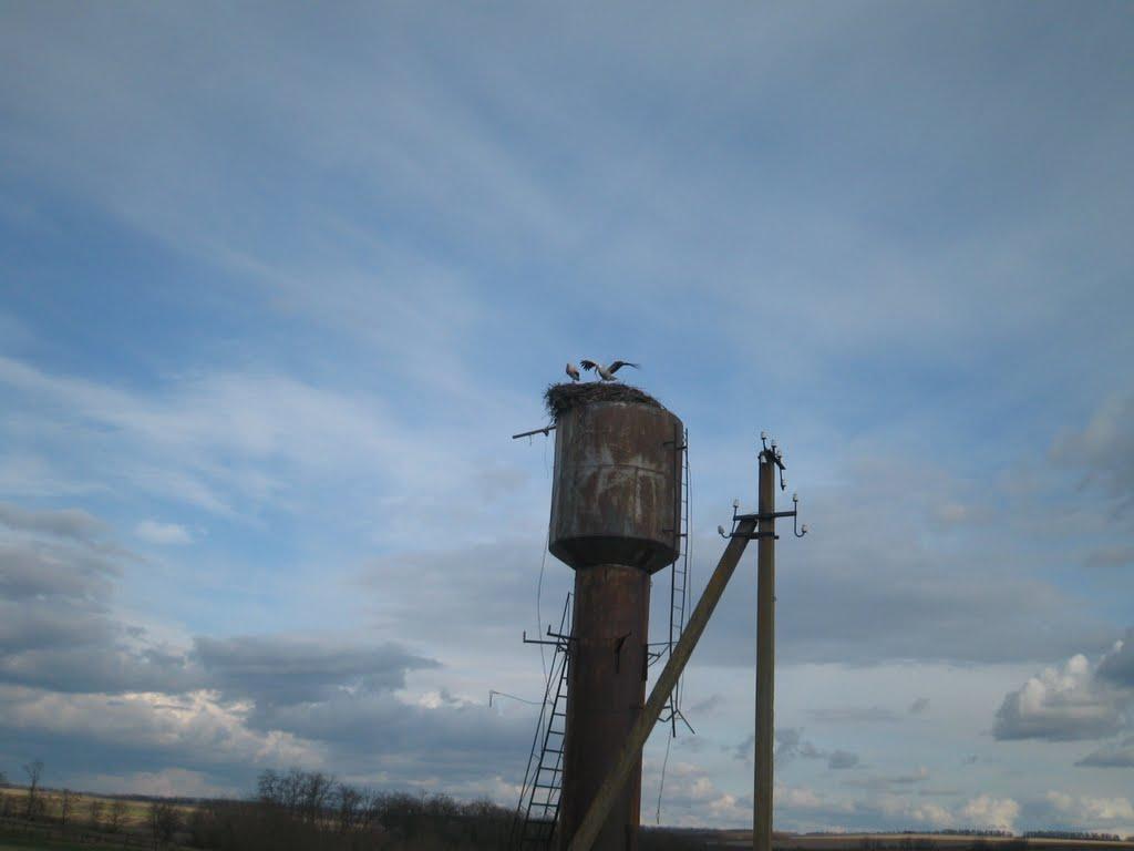 Камбурліївка з panoramio.com - Камбурліївка