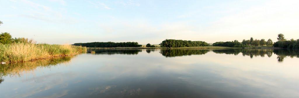 Тельманове з panoramio.com - Тельманове