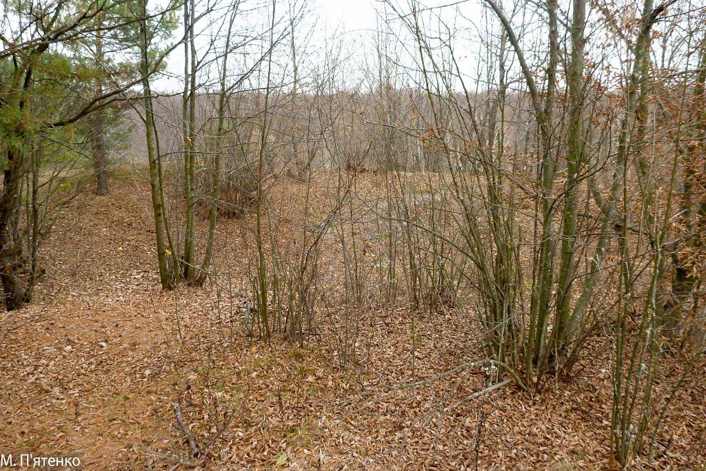 Чудля з panoramio.com - Чудля