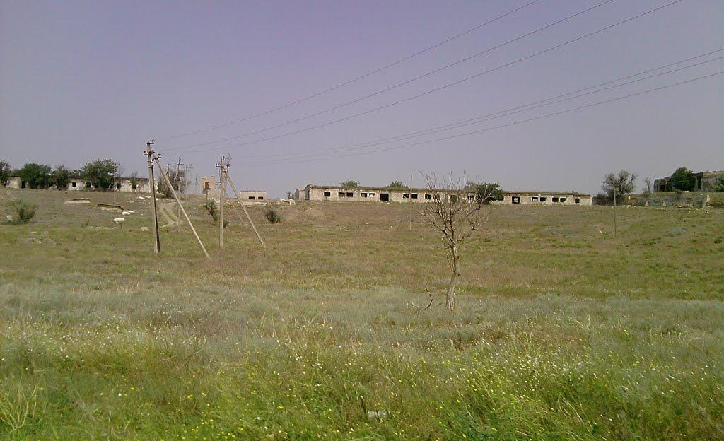 Скворцове з panoramio.com - Скворцове