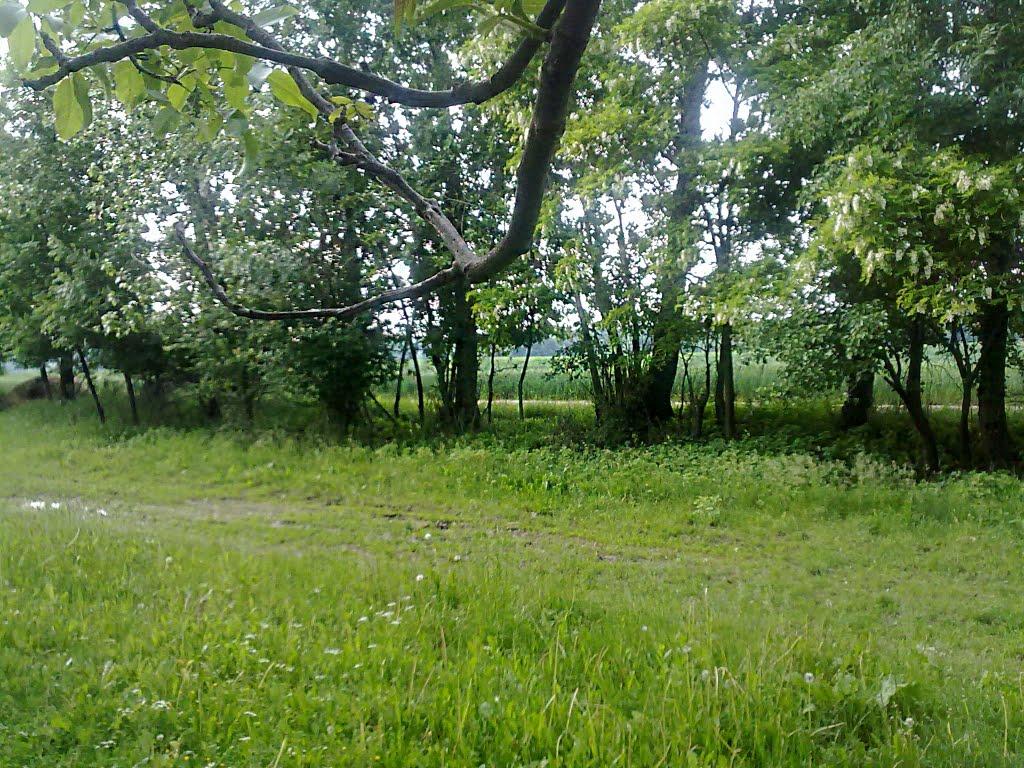 Журавлівка з panoramio.com - Журавлівка