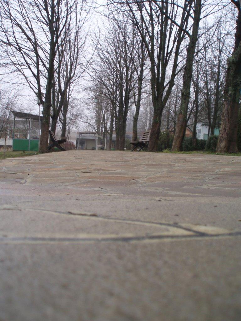 Новохортиця з panoramio.com - Новохортиця