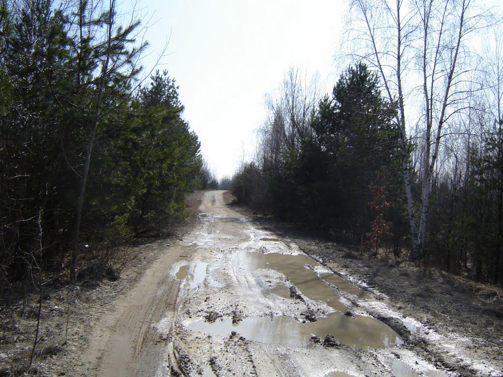 Тетерівка з panoramio.com - Тетеревка