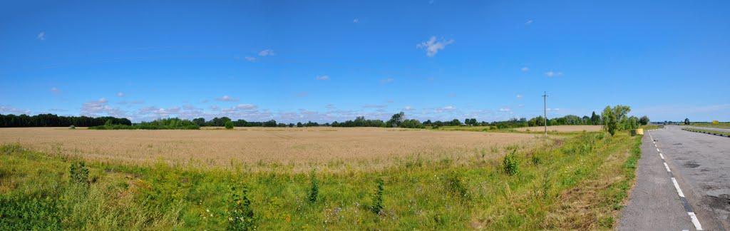 Кривець з panoramio.com - Кривець